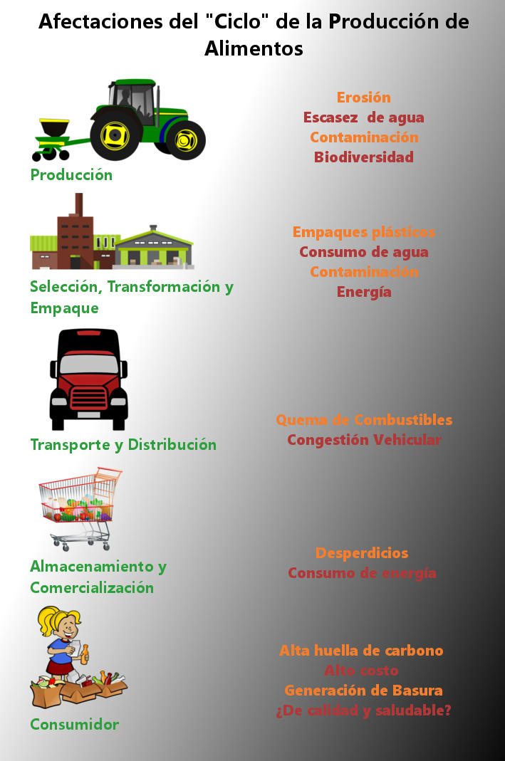 Ciclo de producción de los alimentos Ciclo de producción de los alimentos
